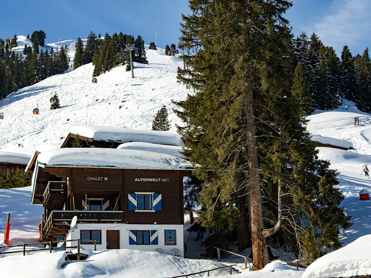 Chalet H im Schnee zwischen Tannen, dahinter Skipiste und Sessellift in Königsleiten